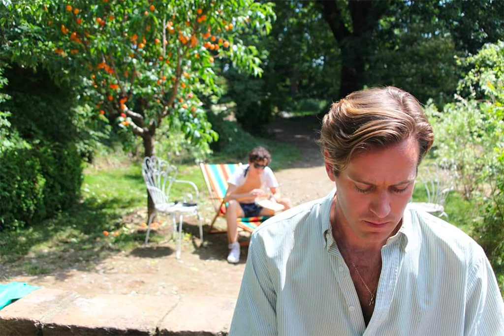 Armie Hammer, Timothée Chalamet dans Call me by your name