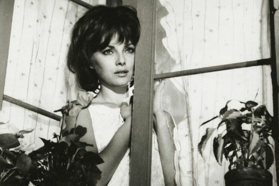 Afficher l'image Virna Lisi