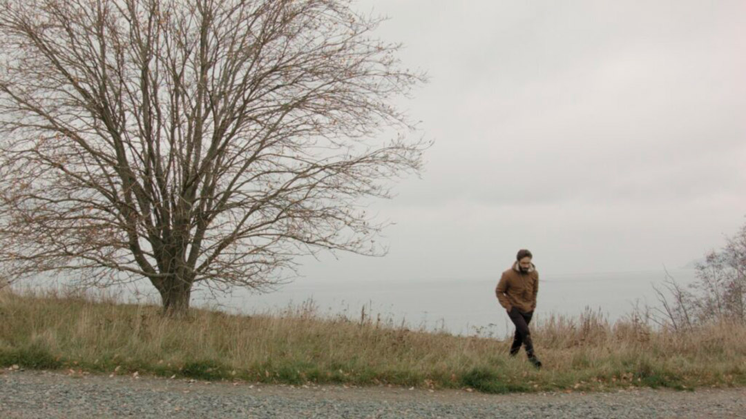 dans Chasing the dazzling light