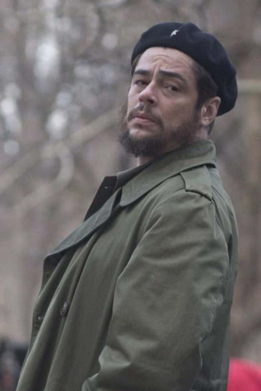 Afficher l'image Benicio Del Toro