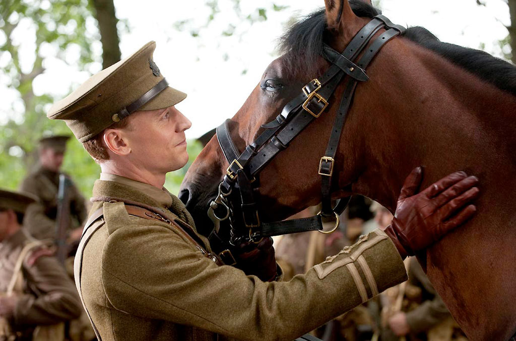Tom Hiddleston dans Cheval de guerre