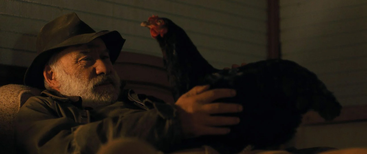 Yannis Kokiasmenos dans Cocotte