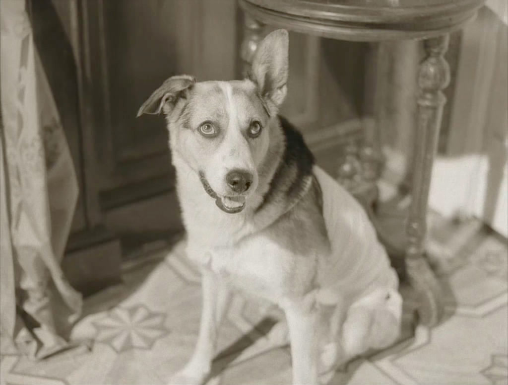 Evgueni Evstigneev dans Cœur de chien