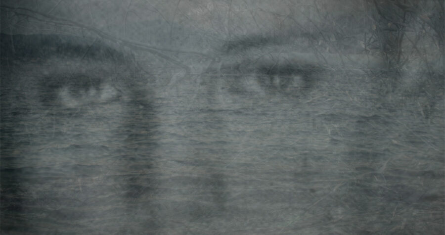 Afficher l'image deracinements-02