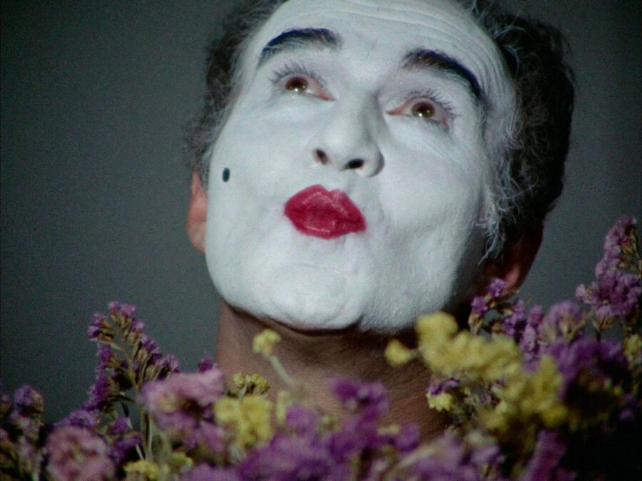 Afficher l'image Michel Piccoli