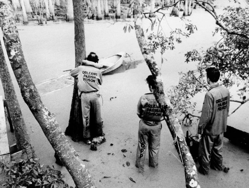 Tom Waits, John Lurie, Roberto Benigni dans Down by law