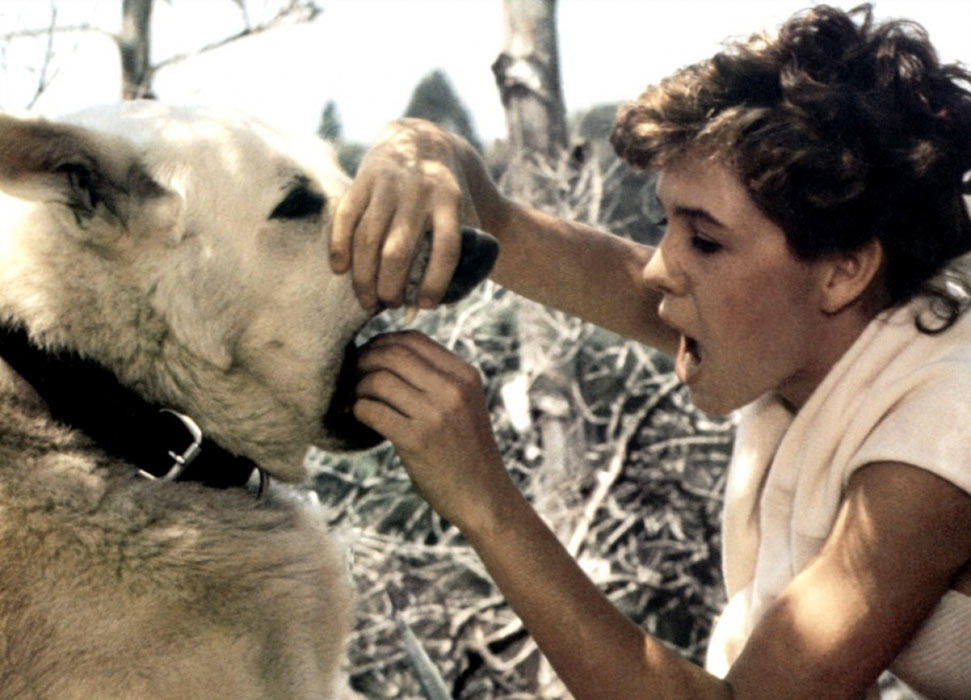 Kristy McNichol dans Dressé pour tuer (White Dog)