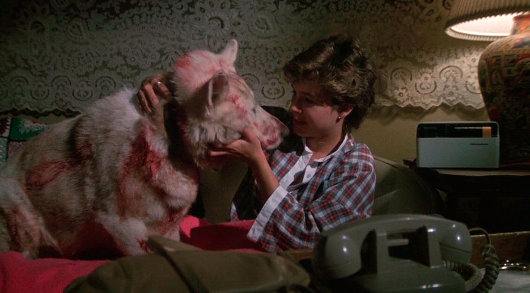 Kristy McNichol dans Dressé pour tuer (White Dog)