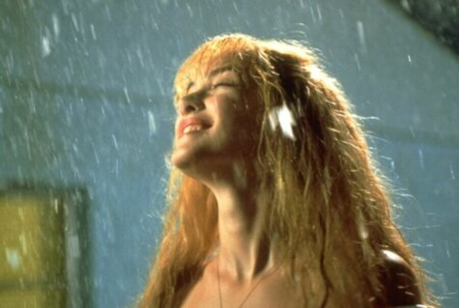 Afficher l'image edward-scissorhands-03