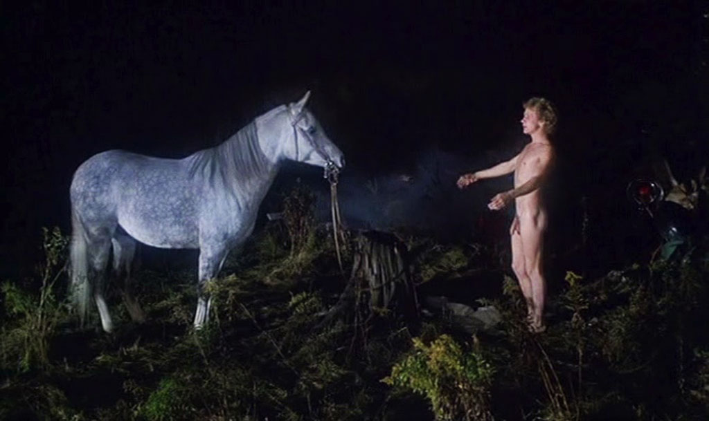 Peter Firth  dans Equus