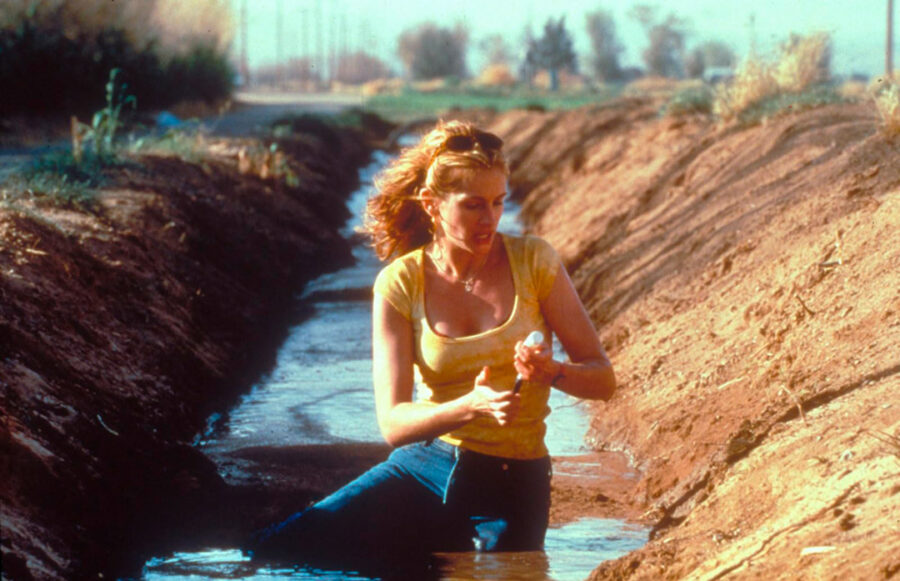 Afficher l'image Julia Roberts