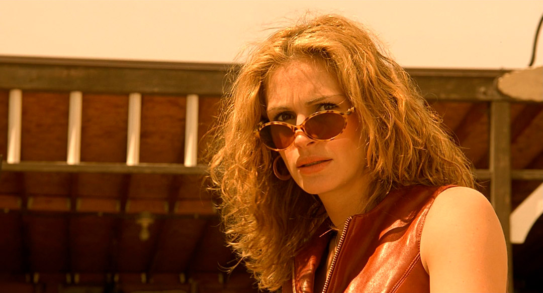 Julia Roberts dans Erin Brockovich, seule contre tous