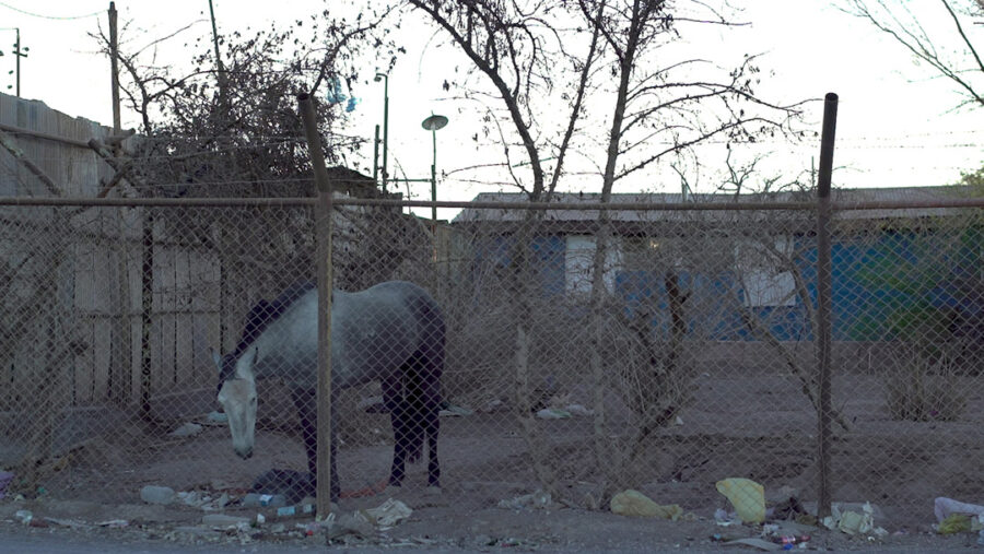 Afficher l'image fantasmagoria-02