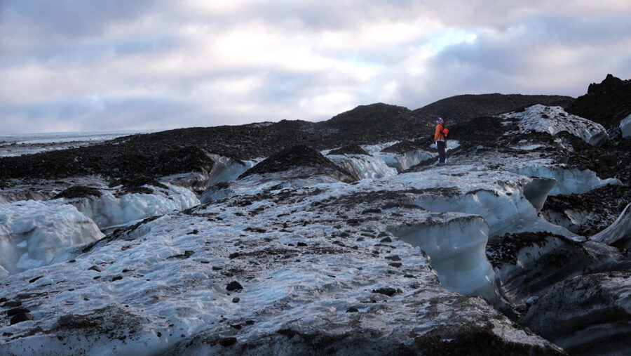 Afficher l'image Heïdi Sevestre