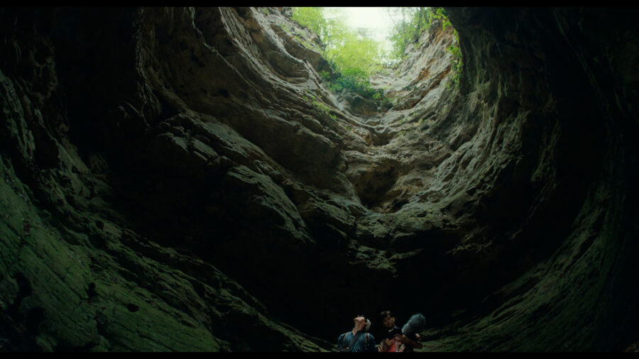 Afficher l'image grise-mine