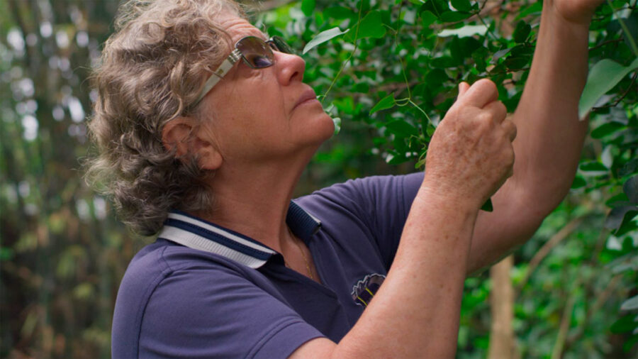 Afficher l'image guapoy-01