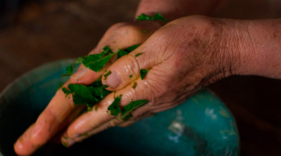 Afficher l'image guapoy-02