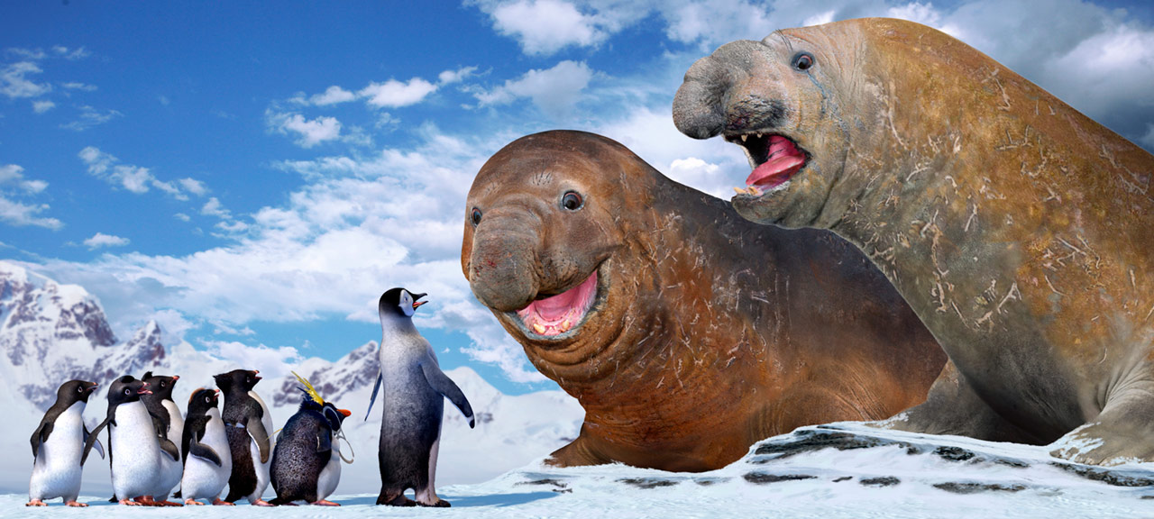 dans Happy Feet