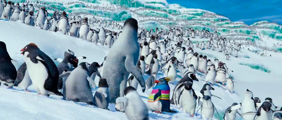 Afficher l'image happy-feet-2-01