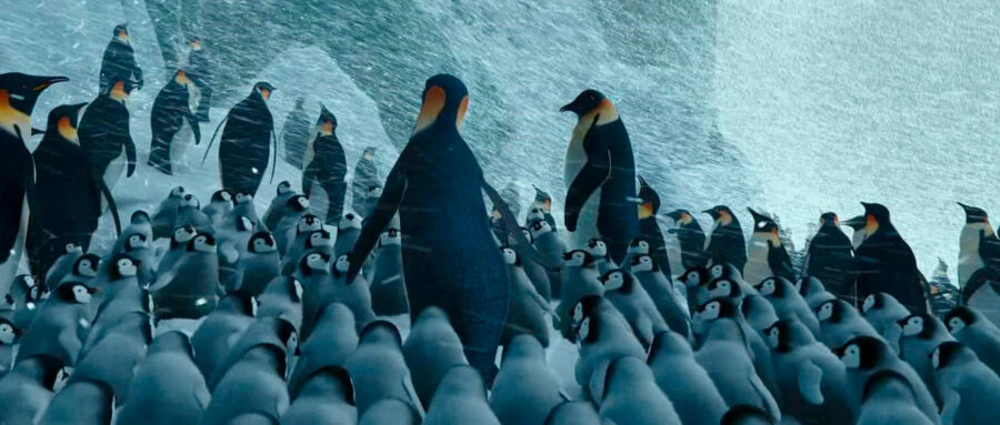 Afficher l'image happy-feet-2-02