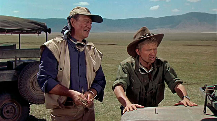Afficher l'image John Wayne, Hardy Krüger