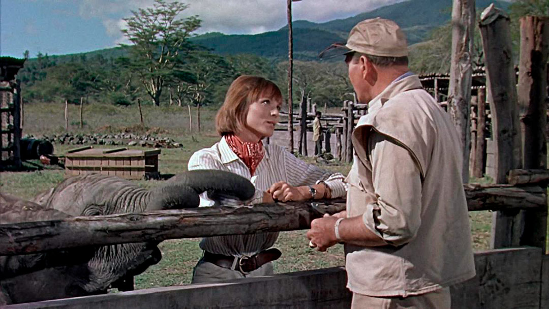 John Wayne, Elsa Martinelli dans Hatari!