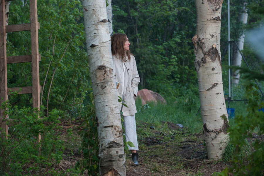 Afficher l'image Toni Collette