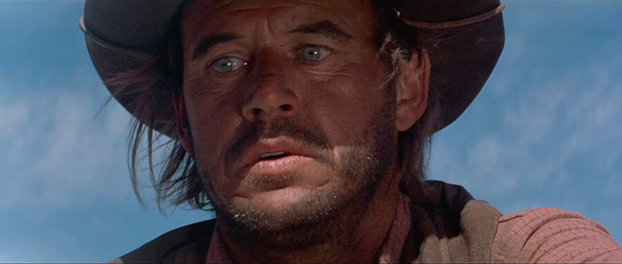 Afficher l'image Geoffrey Lewis