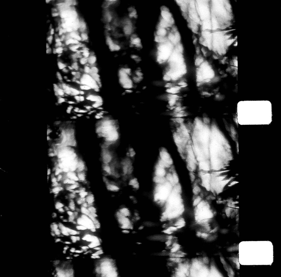 Afficher l'image iIn-contro-luce