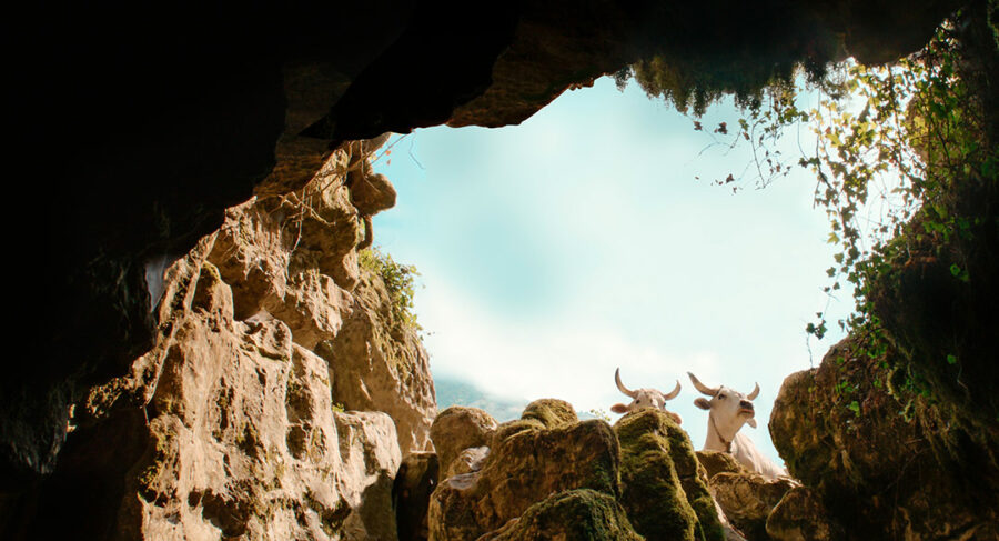 Afficher l'image il-buco-01