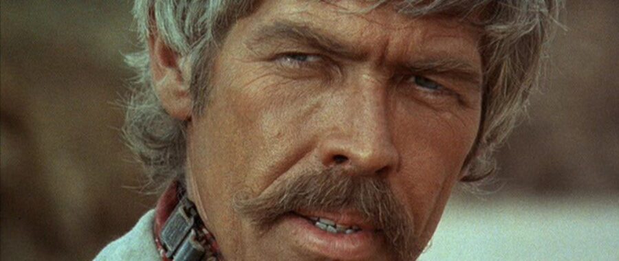 Afficher l'image il-etait-une-fois-la-revolution-02