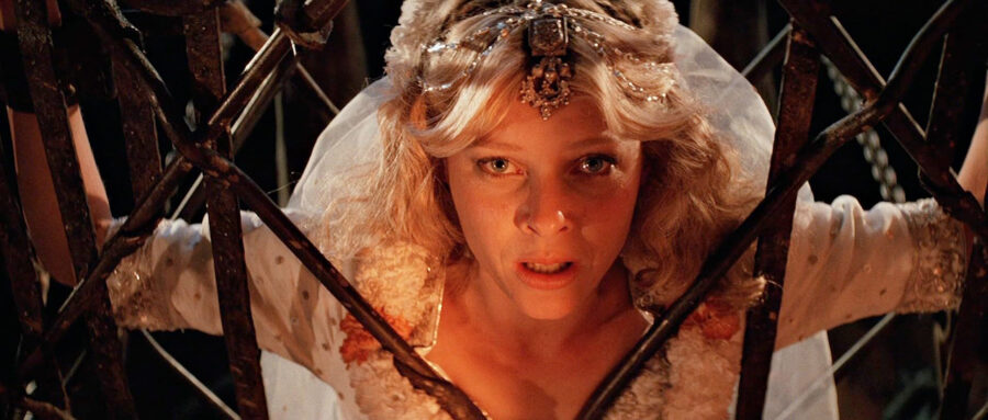 Afficher l'image Kate Capshaw
