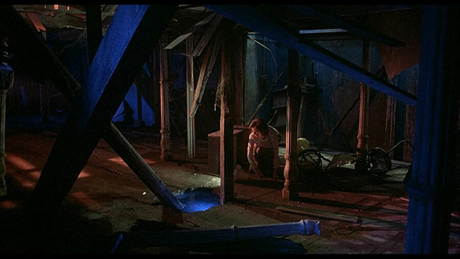 Afficher l'image Irene Miracle