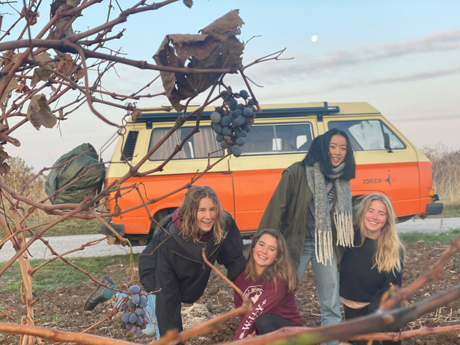 Afficher l'image Elisabeth Auzias, Manon Vichot, Sophie Lei, Zoé Henninger