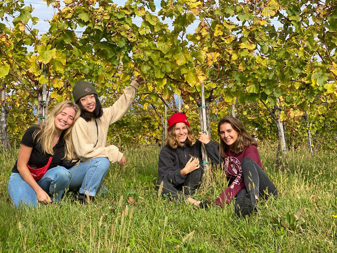 Elisabeth Auzias, Manon Vichot, Sophie Lei, Zoé Henninger dans Into the Wine