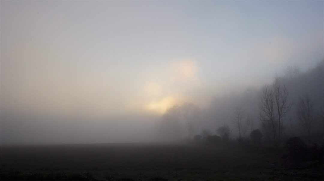 Dans un jour de brume