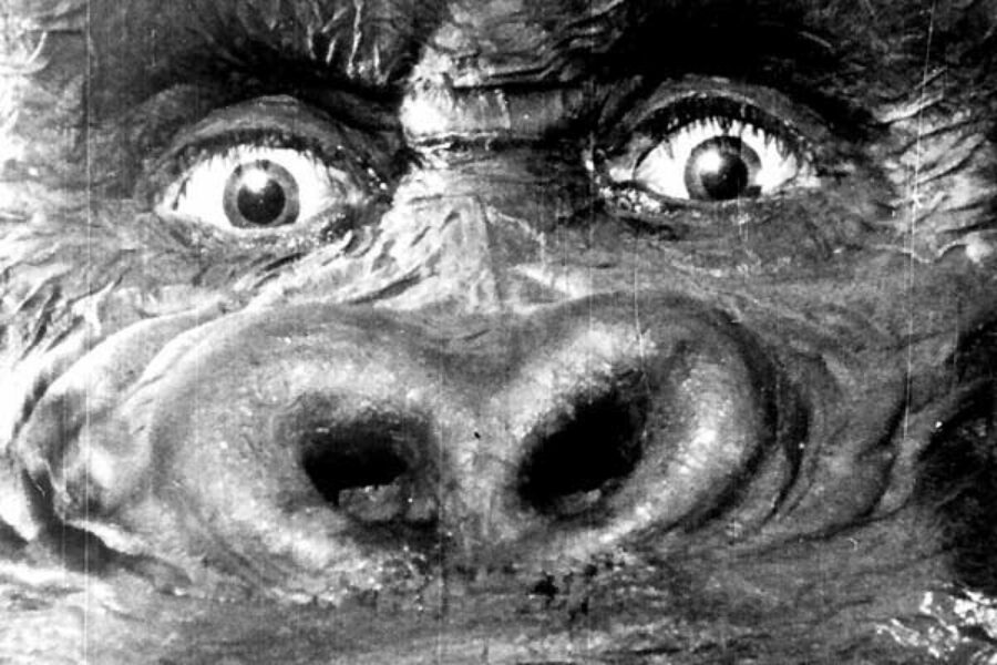 Afficher l'image king-kong-02