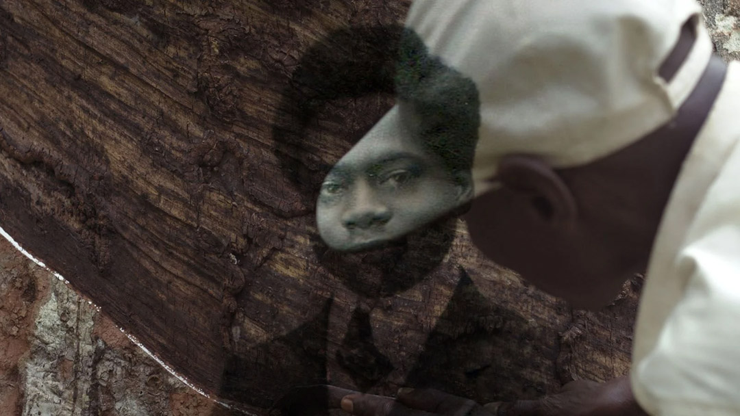 dans L'Arbre de l'authenticité