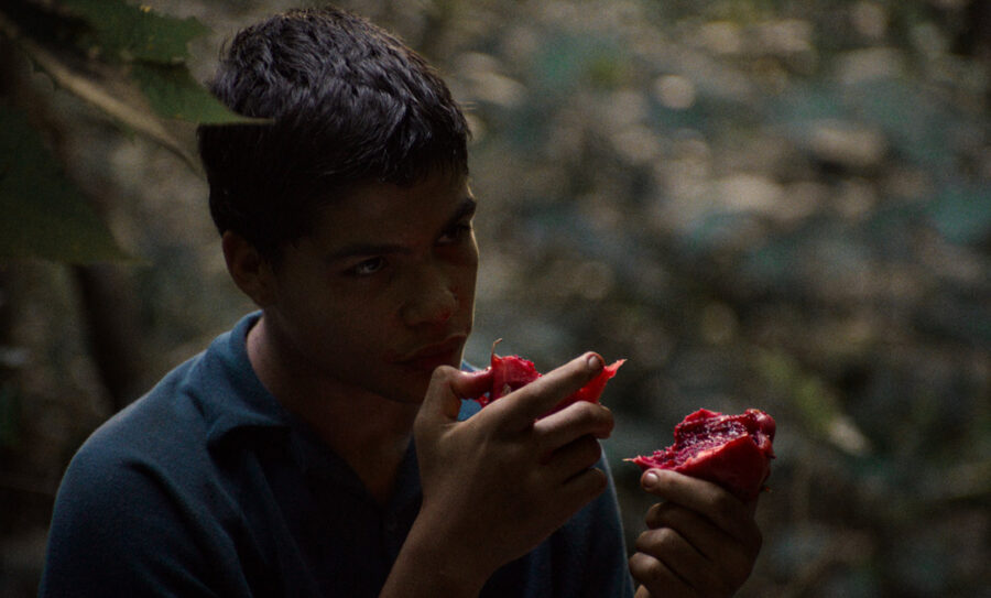 Afficher l'image l-eden-04