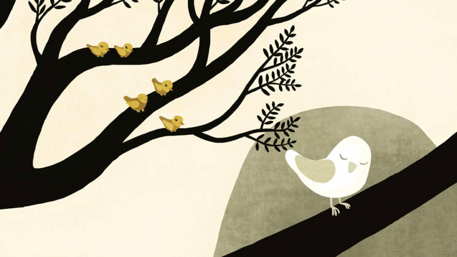 Afficher l'image la-cabane-aux-oiseaux-01