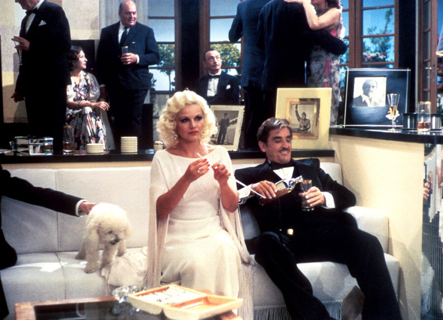 Afficher l'image la-carriere-dune-femme-de-chambre-02