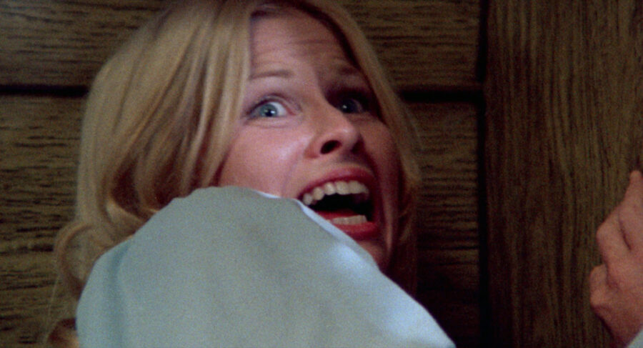 Afficher l'image Susan Lanier