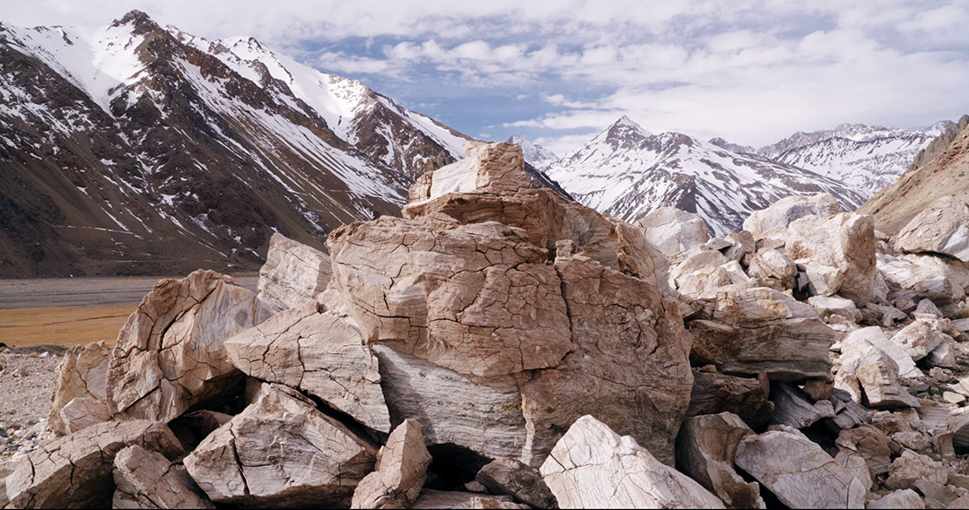 dans La Cordillère des songes