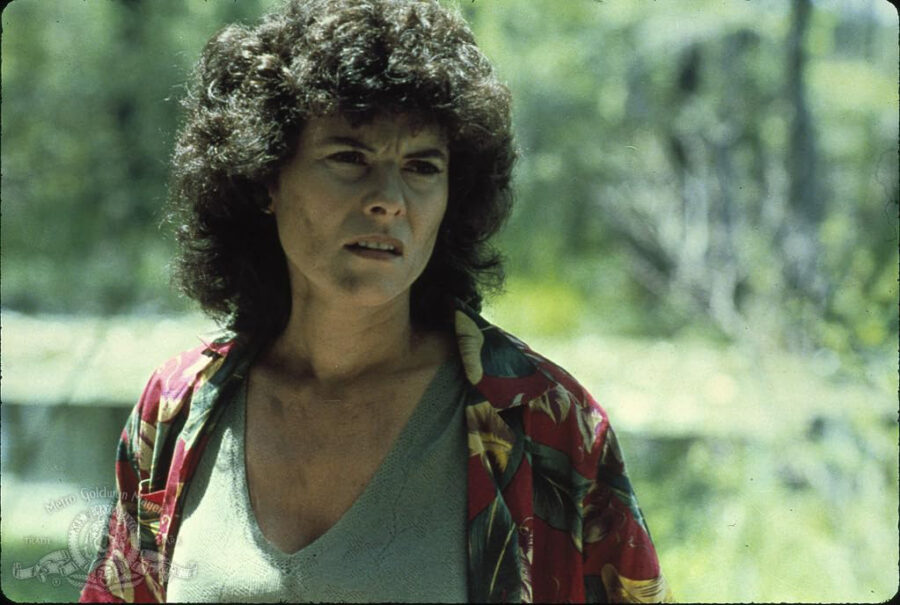 Afficher l'image Adrienne Barbeau