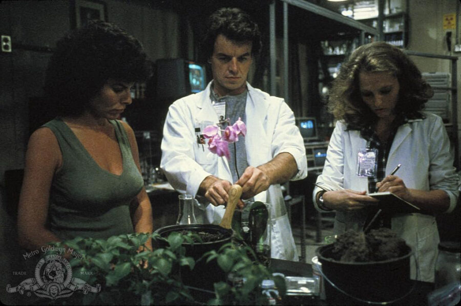 Afficher l'image Adrienne Barbeau, Nannette Brown, Ray Wise