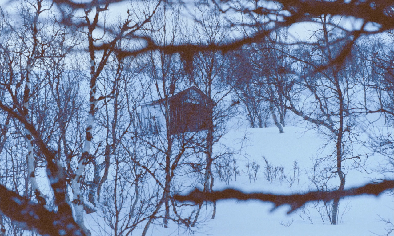 dans La fille à la recherche de la cabane