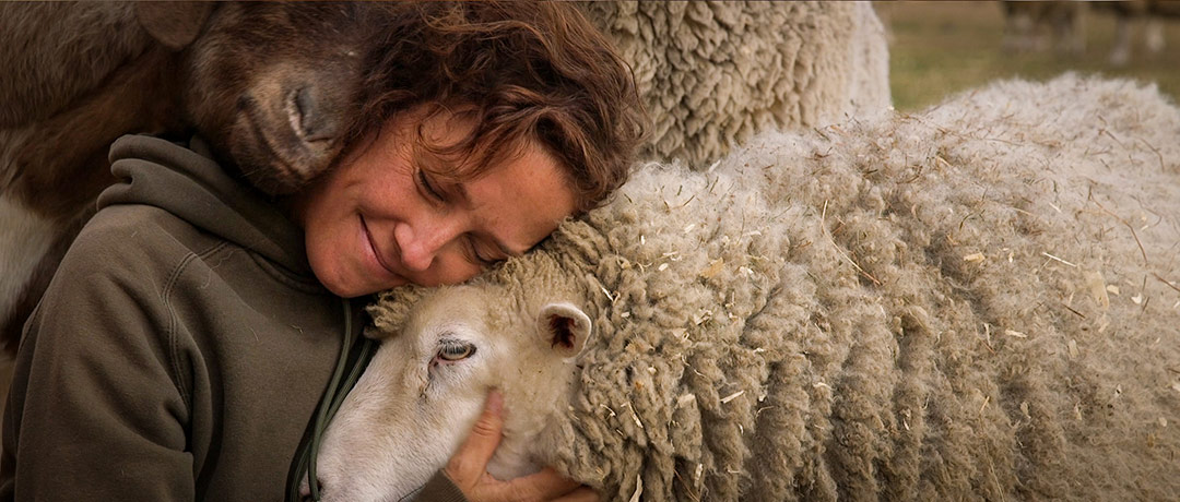 dans La Fin de la viande