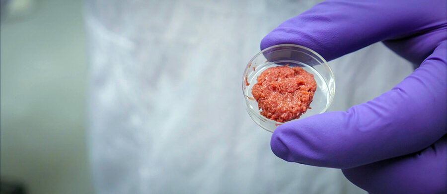 Afficher l'image la-fin-de-la-viande-04