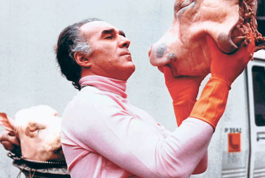 Afficher l'image Michel Piccoli