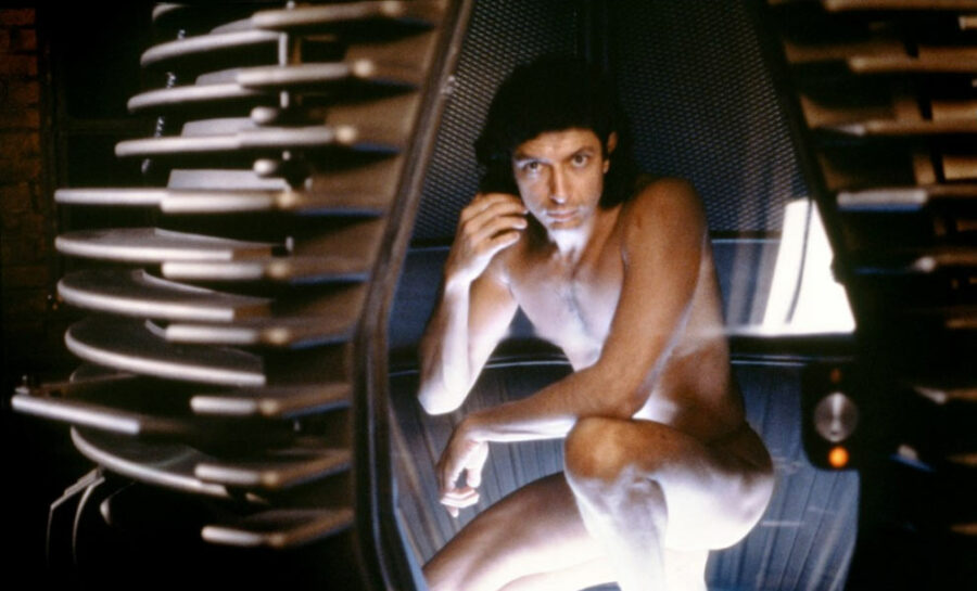 Afficher l'image la-mouche-01